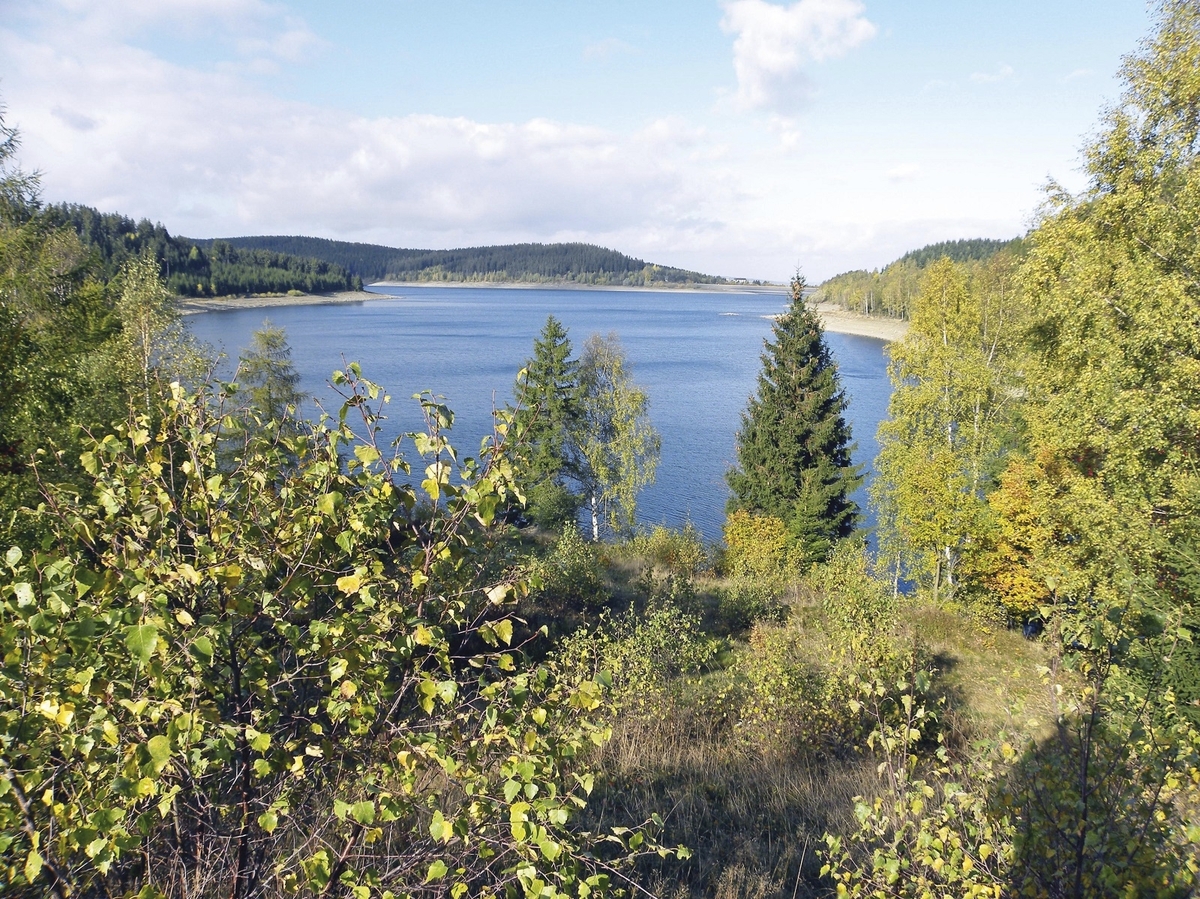 Blick auf einen See im Harz, umgeben von Wäldern unter blauem Himmel.