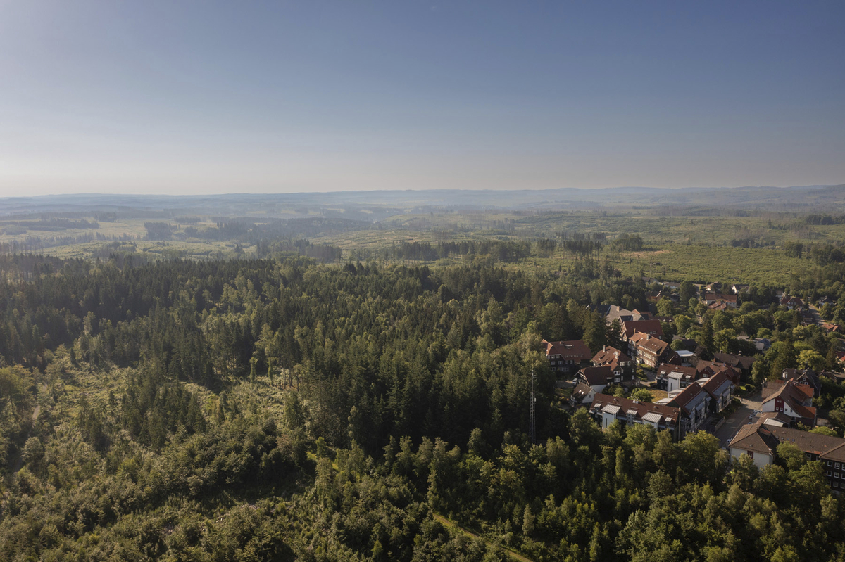 Luftaufnahme einer Waldlandschaft mit einem kleinen Dorf am Waldrand.
