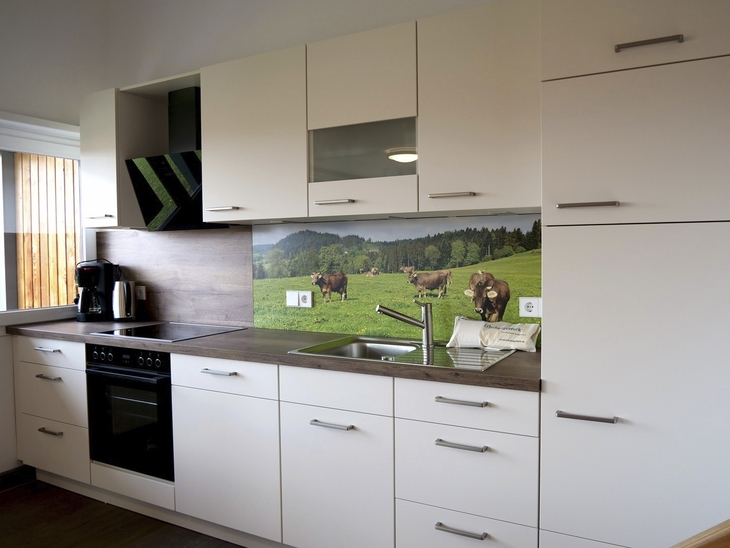 Moderne Einbauküche mit Landschaftsfototapete im Hintergrund.