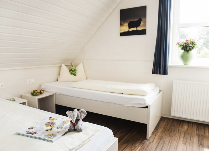 Helles Schlafzimmer mit zwei Betten, Spielzeug und Blumen im Fenster.