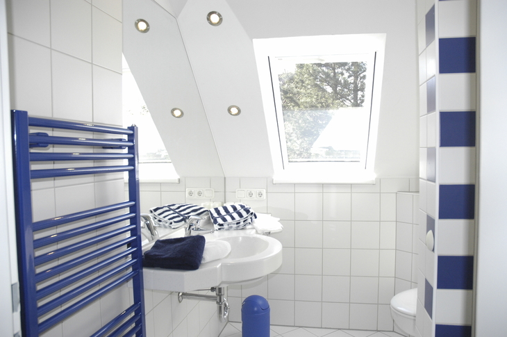 Helles Badezimmer mit blau-weißen Fliesen und Dachfenster.