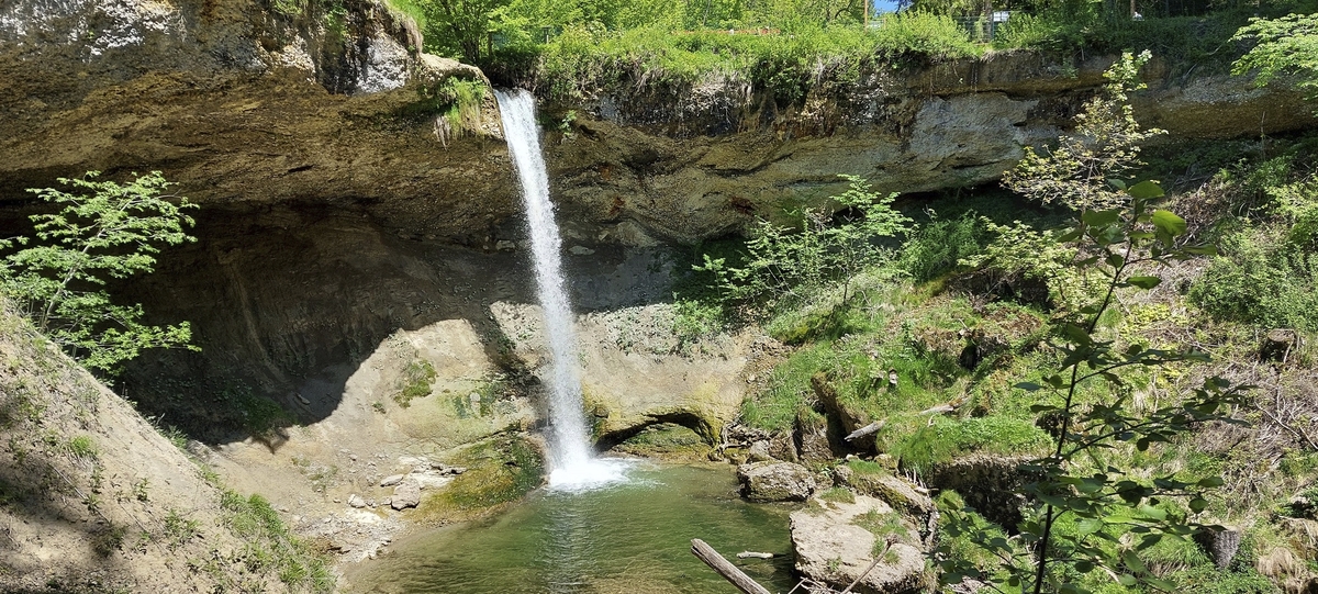 Wasserfall bei Scheidegg mit üppigem Grün, ein heller Wasserstrahl fällt in einen kleinen Teich.