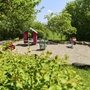 Kleiner Spielplatz mit Wiipptieren und Häuschen sowie einer Parkbank umgeben von Bäumen bei sonnigem Wetter in der Ferienanlage Lindau.
