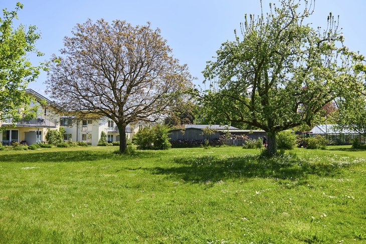 Grüne Wiese mit grünen und blühenden Bäumen sowie den Appartementhäusern an der Obstwiese, der Ferienanlage Lindau, im Hintergrund.