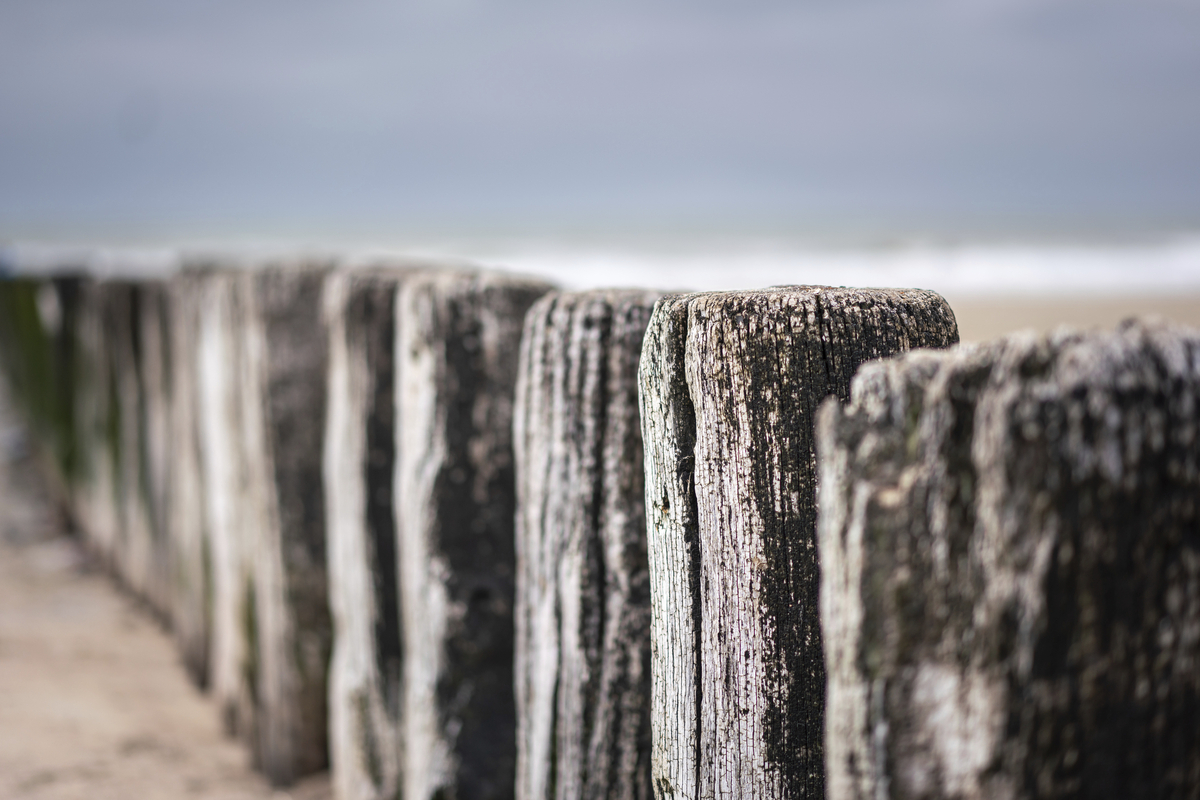 Holzpfähle in einer Reihe am Strand, im Hintergrund verschwommener Himmel.