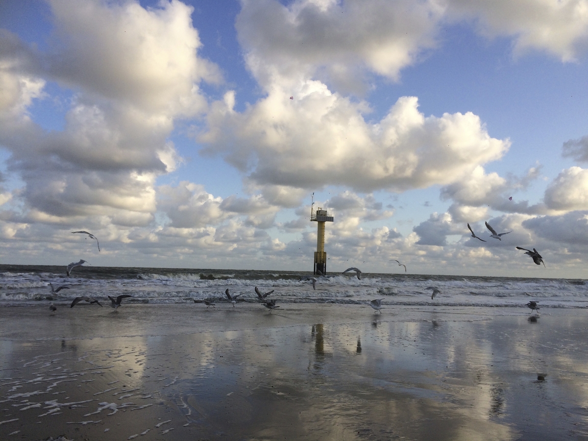 Möwen fliegen über den Strand, Wolken am Himmel, Turm im Hintergrund.
