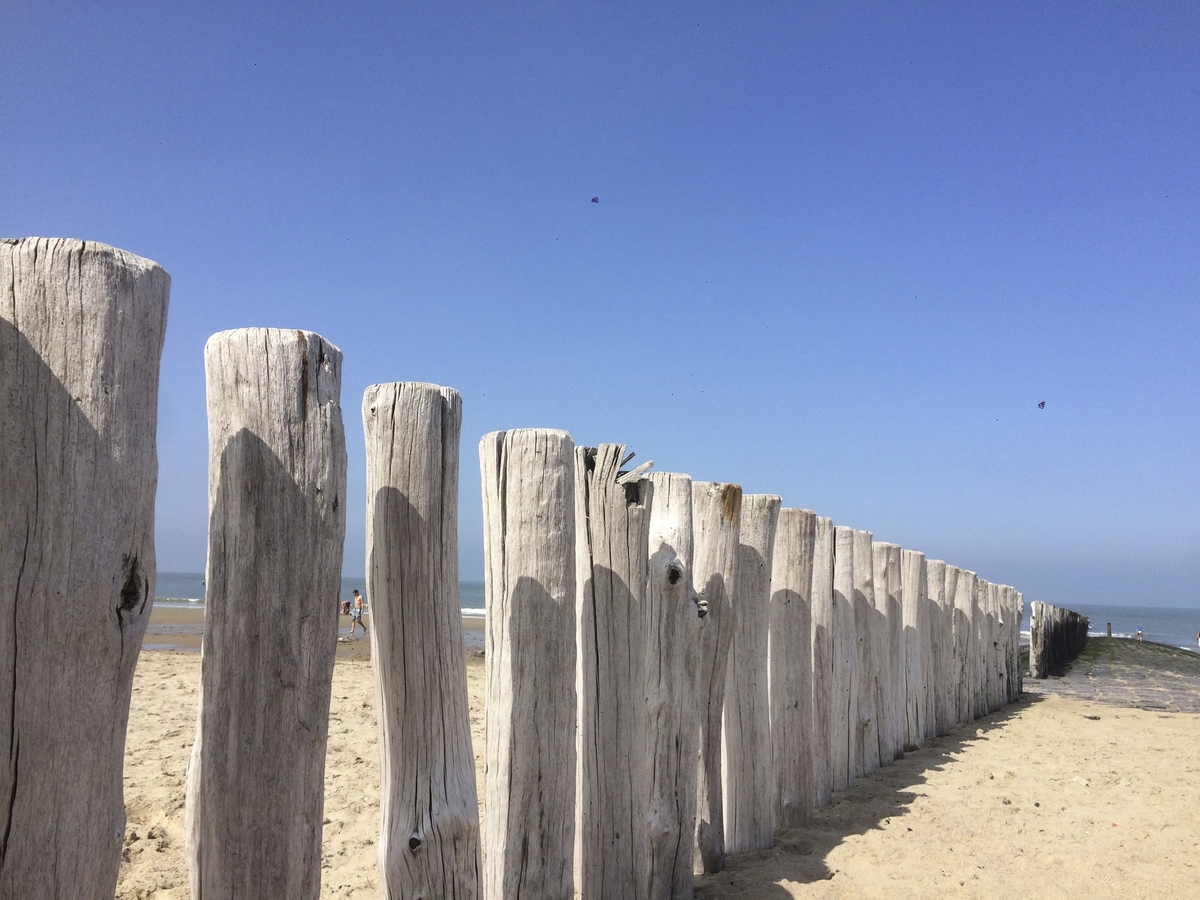 Holzpfähle in einer Reihe an einem Strand unter klarem, blauem Himmel.