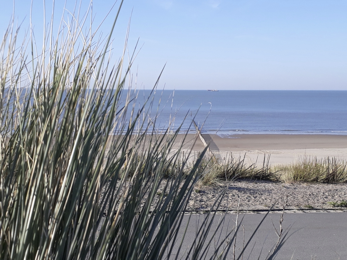 Strand mit Dünen, Blick auf das Meer bei klarem Himmel.