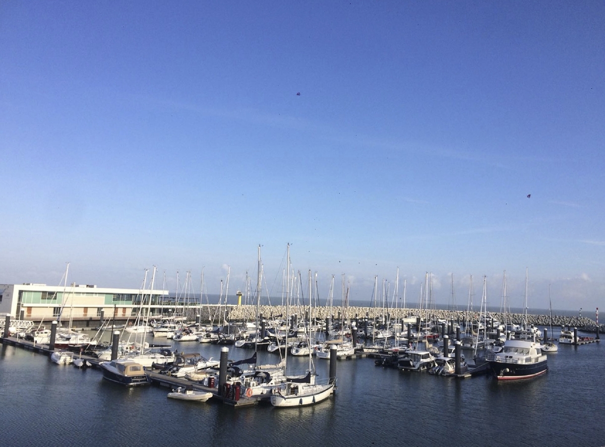 Boote im Jachthafen mit blauem Himmel und modernem Gebäude im Hintergrund.