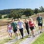 Gruppe beim Nordic Walking auf einem Feldweg in landschaftlicher Umgebung.