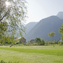 Wiese mit Bäumen im Sonnenschein vor einer Bergkulisse in Obertraun.