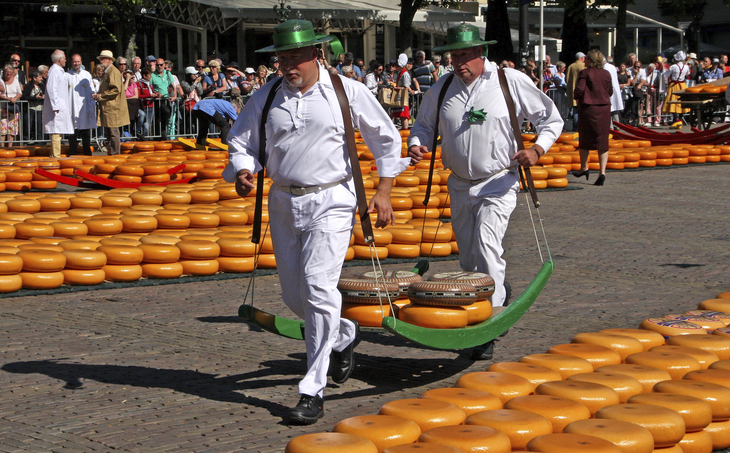Träger in Weiß transportieren Käse auf dem Markt in Alkmaar, Niederlande.