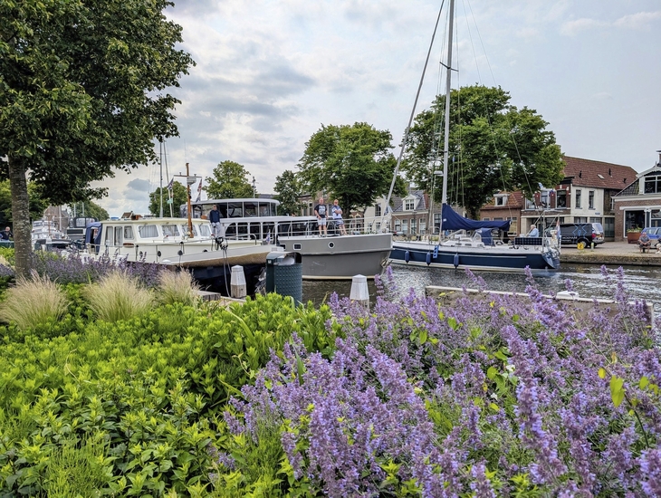 Boote im Hafen von Nordholland, umgeben von Blumen und Bäumen.