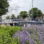 Boote im Hafen von Nordholland, umgeben von Blumen und Bäumen.