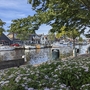 Boote im Kanal vor Häusern in Lemmer, Nordholland, bei sonnigem Wetter.
