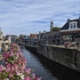 Blumen entlang eines Kanals in einer Stadt mit historischen Gebäuden und Kirchturm im Hintergrund.