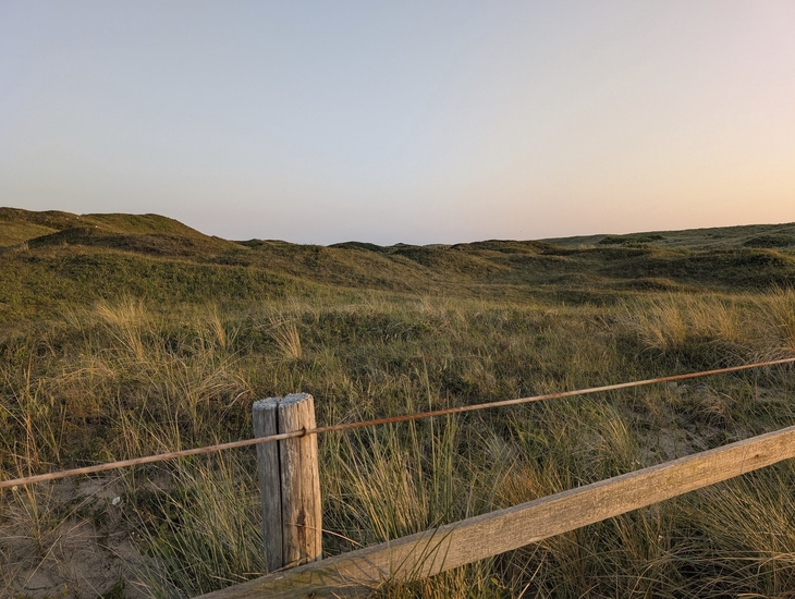 Dünenlandschaft auf Texel mit Gras und Holzzaun im Vordergrund bei Sonnenuntergang.