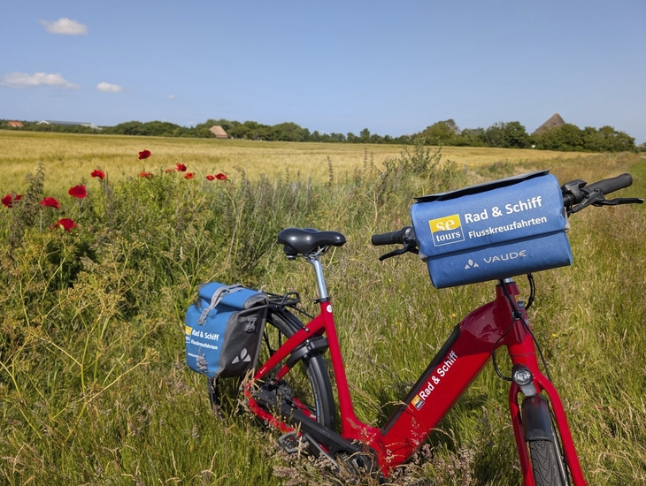 Rotes Fahrrad auf einem Weg durch eine ländliche Landschaft mit Mohnblumen und Feldern.