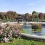 Brunnen in einem blühenden Park mit Herbstbäumen im Hintergrund.