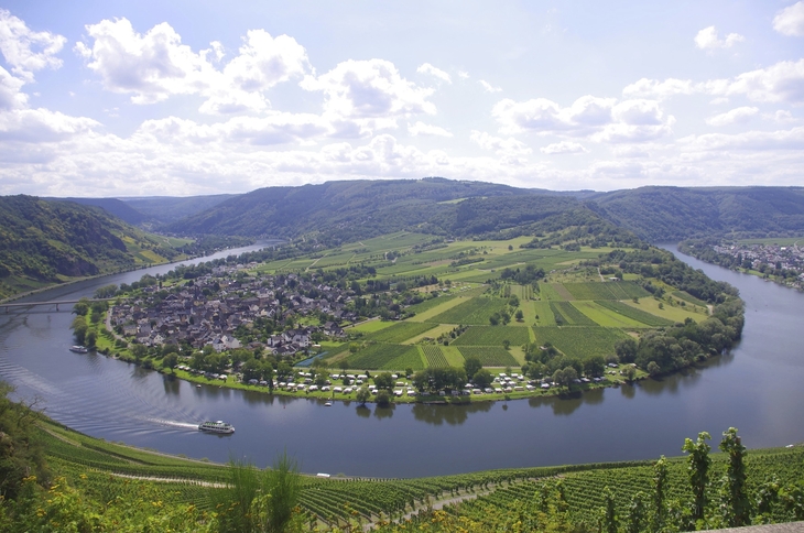 Blick auf die Moselschleife bei Trittenheim mit umliegenden Weinbergen und Flusslandschaft.