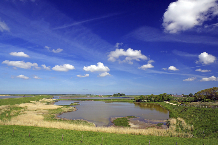 Aussicht auf eine weite Landschaft im Oosterschelde Nationalpark mit Wasser und blauem Himmel