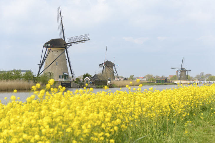 Mit Rad & Schiff durch Zeeland und den Oosterschelde Nationalpark - 8 Tage - MS Normandie