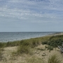 Dünenlandschaft bei Vlissingen mit Blick auf das Meer und einen Holzbank.