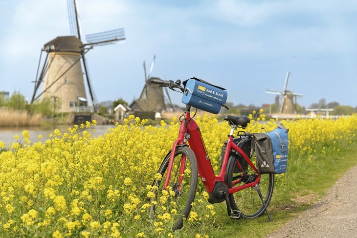 Rotes Fahrrad vor blühendem Rapsfeld mit Windmühlen im Hintergrund in Kinderdijk