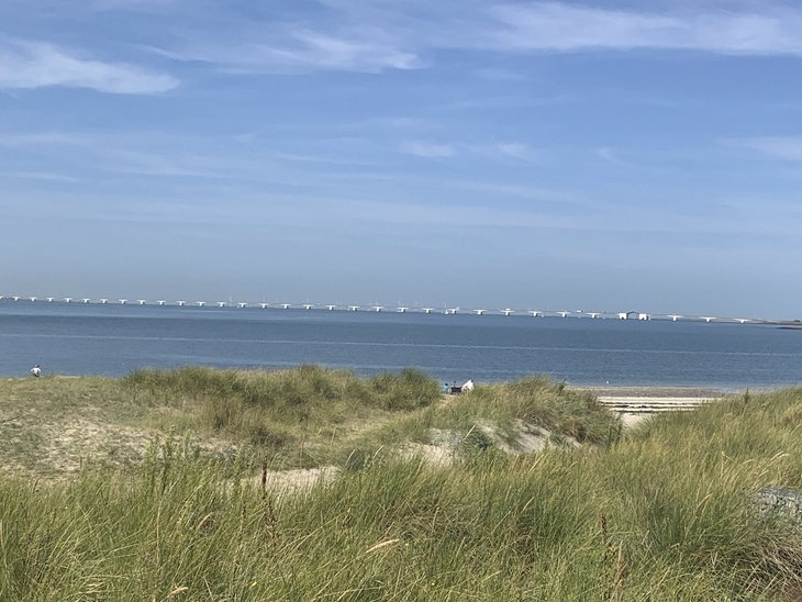 Zeelandbrücke über das Meer, im Vordergrund Dünen und Gras.