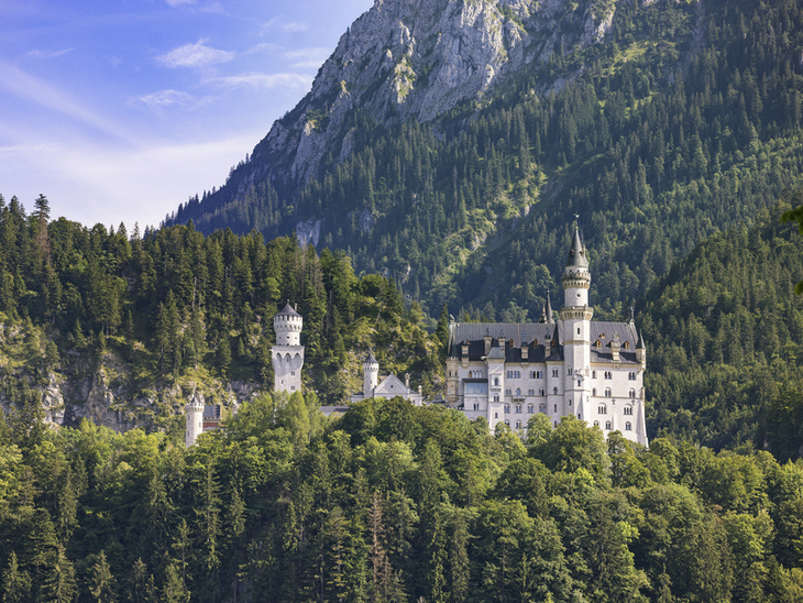 Schloss Neuschwanstein in Bayern, umgeben von Wald und Bergen.