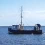 Fischerboot auf dem Meer bei Büsum unter blauem Himmel.