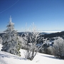 Verschneite Landschaft mit Bäumen und blauem Himmel im Hintergrund.