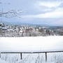 Verschneite Landschaft mit Bäumen und Dörfern im Hintergrund.