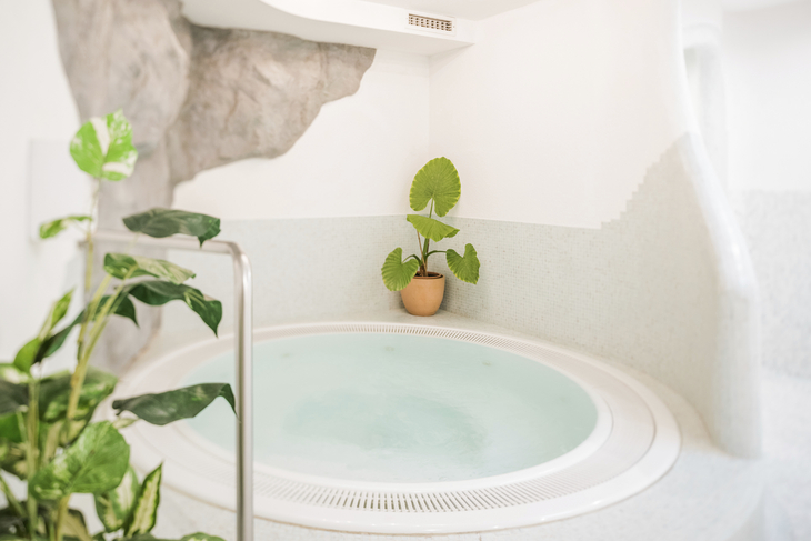 Whirlpool in einem hellen Raum mit Topfpflanzen.