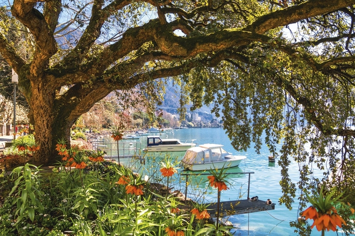 Genfer See - Montreux