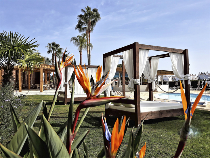 Garten eines Hotels in der Algarve mit Liegebetten und exotischen Pflanzen.