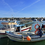 Fischerboote im Hafen von Fuseta, Algarve, Portugal, bei sonnigem Wetter.
