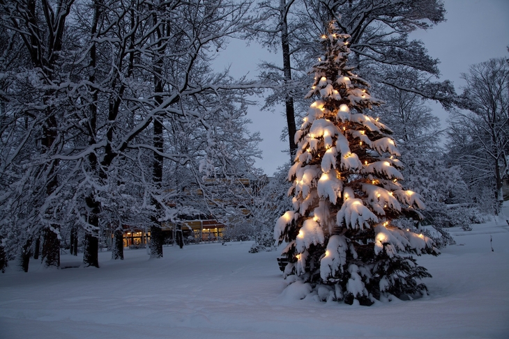 Weihnachten in den Bergen