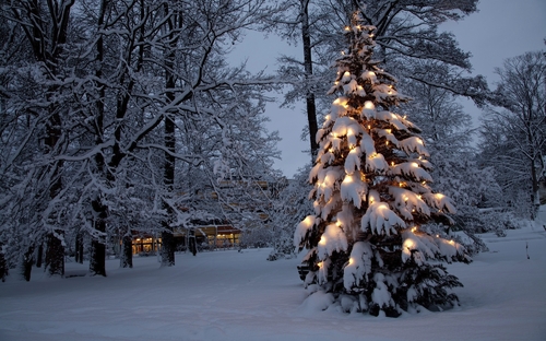 Weihnachtsstimmung