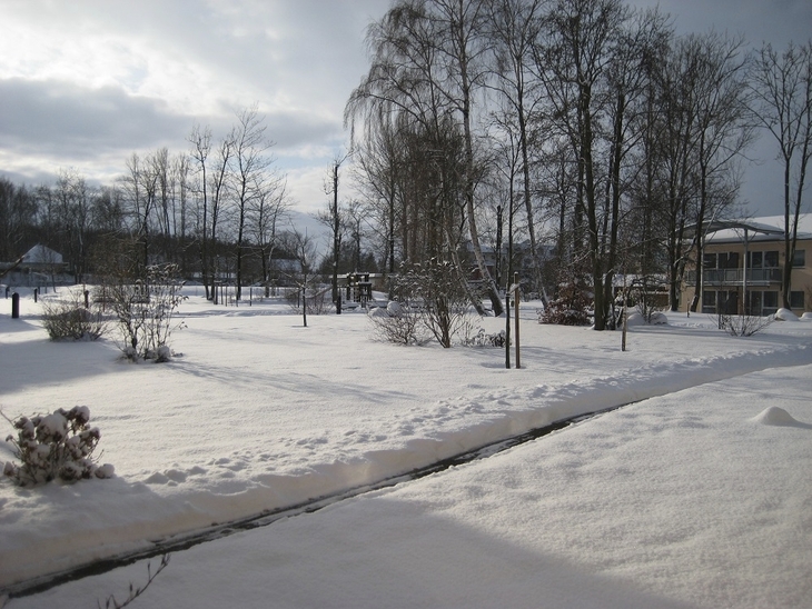 Verschneite Winterlandschaft mit Bäumen und einem Gebäude im Hintergrund.