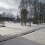 Verschneite Winterlandschaft mit Bäumen und einem Gebäude im Hintergrund.