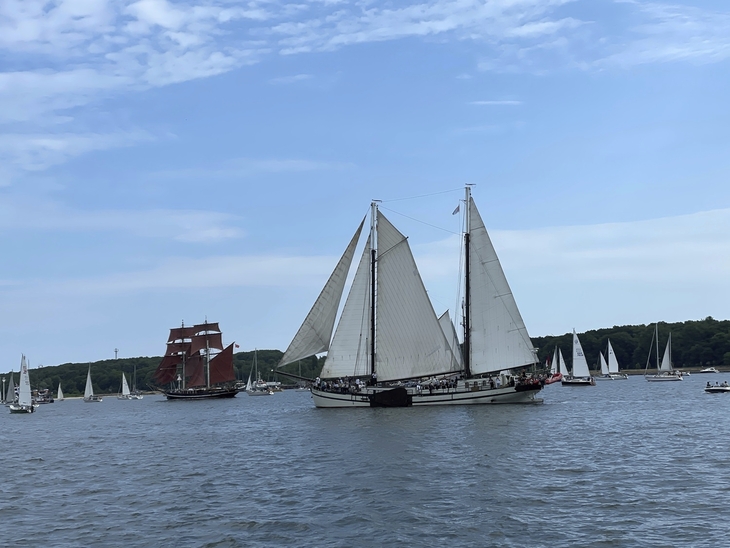 Mehrere Segelboote auf dem Wasser bei der Kieler Woche.