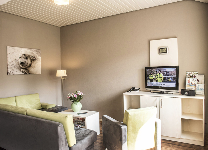Wohnbereich in der Ferienanlage Büsum, mit Sofa, Sessel und kleinem Tisch, sowie einem Fernseher auf einem Sideboard.