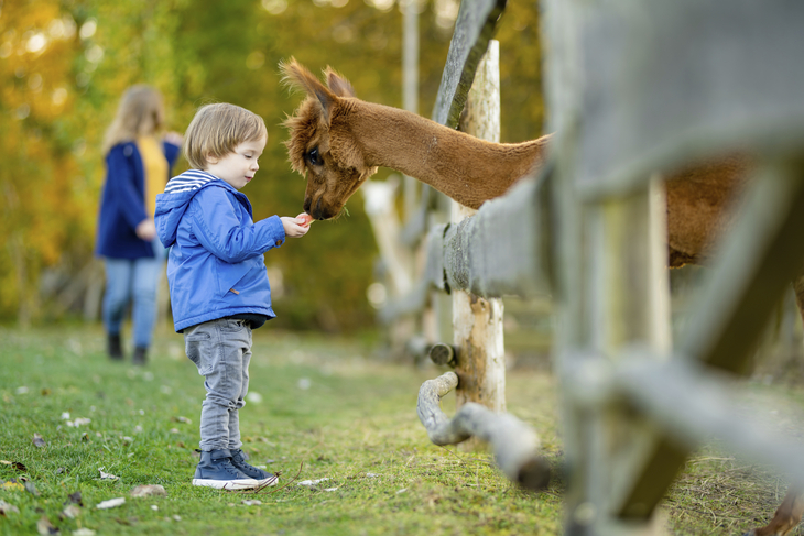 Tierisch schöne Zeit in Büsum - Osterferien