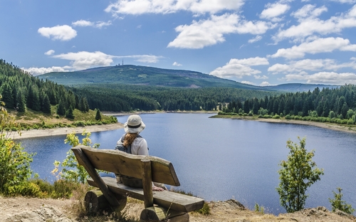 Eckertalsperre - Harz