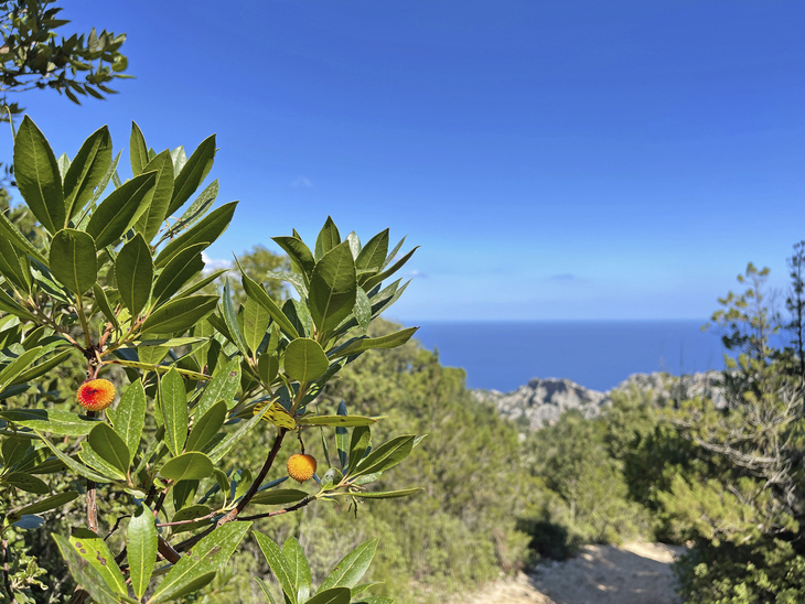 Cala Golone