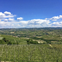 Aussicht auf Weinberge