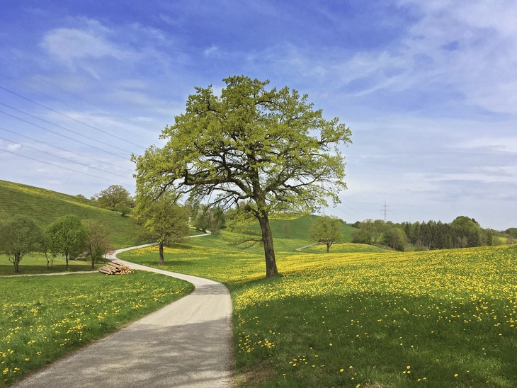 Bayerische Idylle