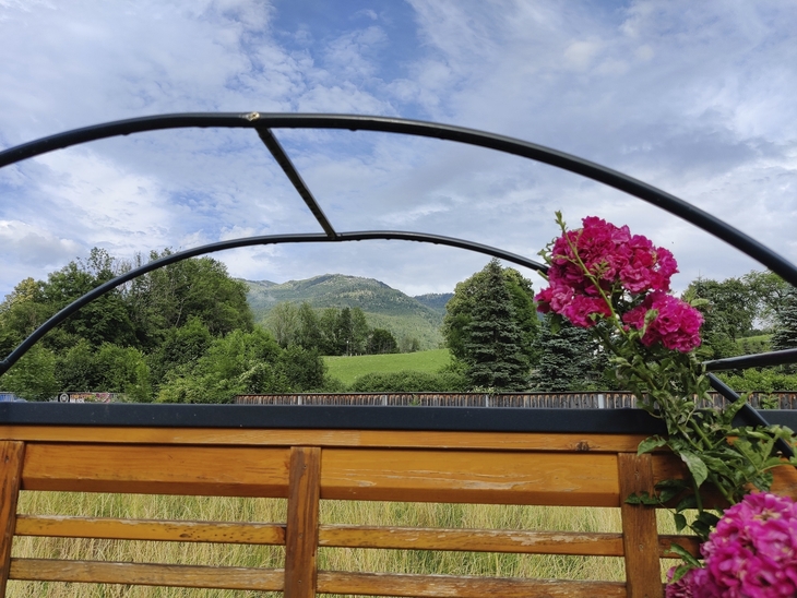 Blick über Holzzaun auf grüne Hügel und blühende Sträucher unter blauem Himmel.
