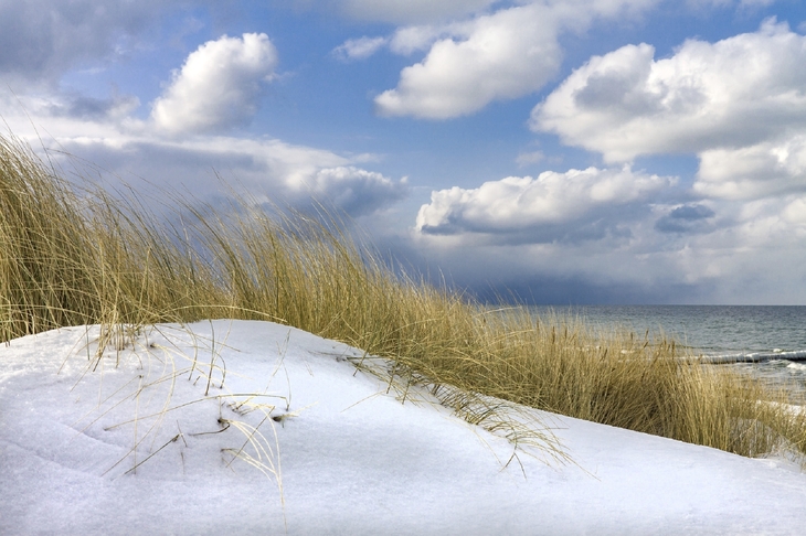 Schneebedeckte Dünen an der Ostsee unter bewölktem Himmel.